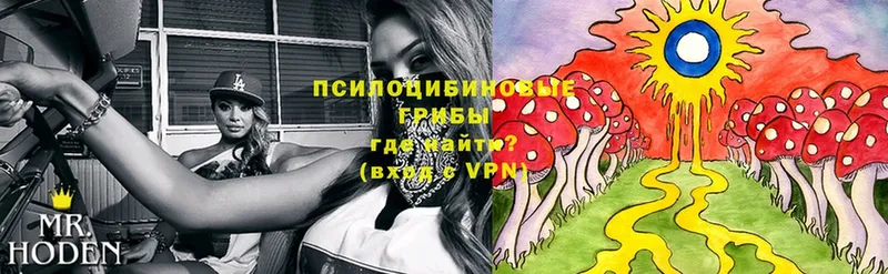 Галлюциногенные грибы Magic Shrooms  Анива 